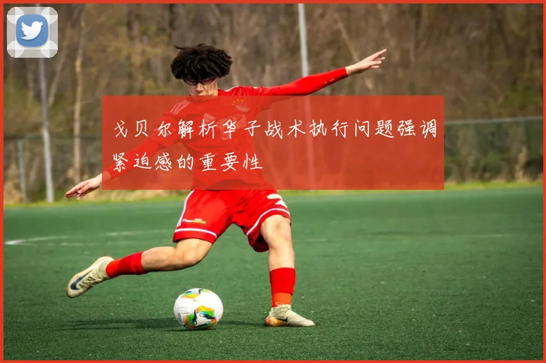 戈贝尔解析华子战术执行问题强调紧迫感的重要性